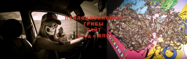 СК Алексеевка