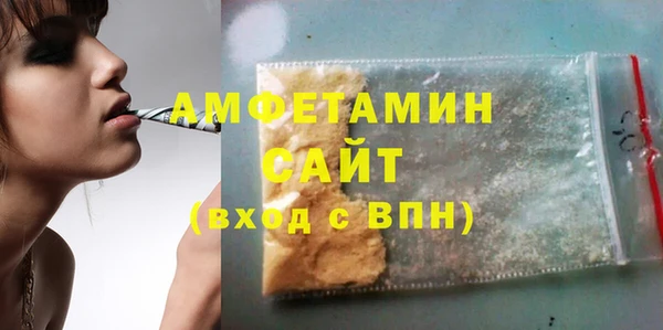 мет Алексин