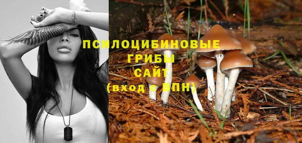 спайс Абдулино