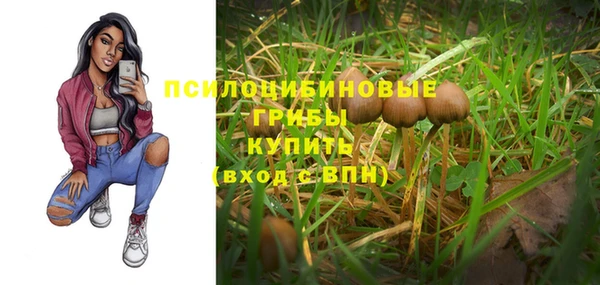 спайс Абдулино