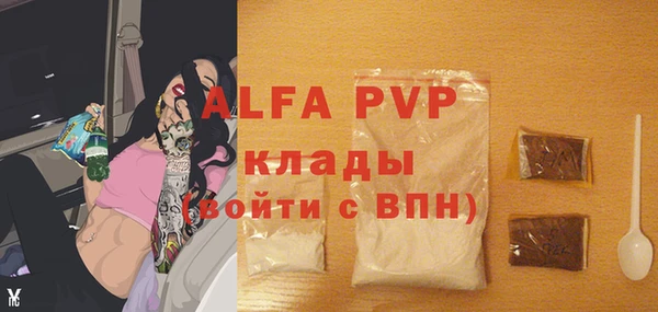 мет Алексин